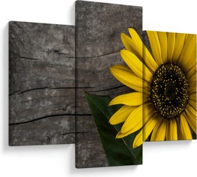 Tablou - Floare de floarea soarelui (90x60 cm)