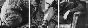 Tablou - Circ (cu ceas) (90x30 cm)
