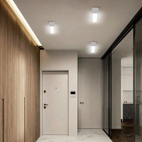 Immax NEO 07257L - LED LUNGO 20W/230V Wi-Fi Tuya albă, dimabil + DO