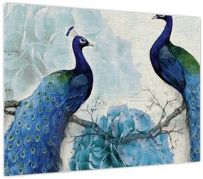 Tablou pe sticlă - Peacocks cu texturi (70x50 cm)