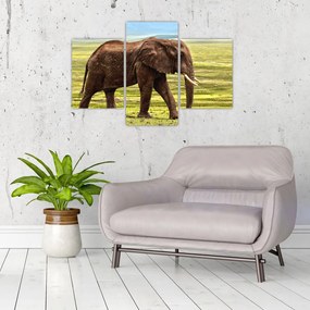 Tablou - Elefantul (90x60 cm)