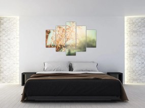 Tablou - Plante după ploaie (150x105 cm)