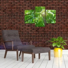 Tablou - Lunca (90x60 cm)