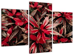 Tablou - Petale roșii (90x60 cm)