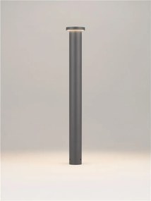 Stalp de exterior LED 3000K, IP65 Bast H-65cm gri inchis