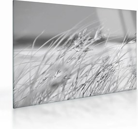 Tablou pe sticlă - Iarbă de plajă (70x50 cm)