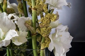 Aranjament floral mediu design LUX SQUARE TEBE