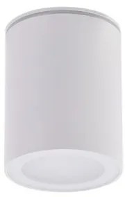 Spot aplicat pentru exterior IP65 PAPIKO WH