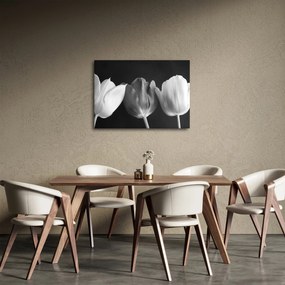 Tablou - Lalele alb negre (70x50 cm)