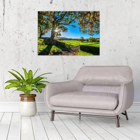 Tablou pe sticlă Privire la câmp (70x50 cm)