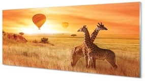 Tablouri acrilice Baloane cer girafă