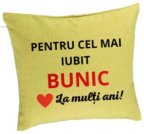 Perna Decorativa pentru Bunicul 3, 40x40 cm, Verde, Husa Detasabila, Burduf