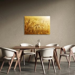 Tablou pe sticlă - Spice de cereale (70x50 cm)