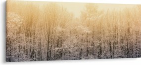 Tablou cu pădure geroasă (120x50 cm)