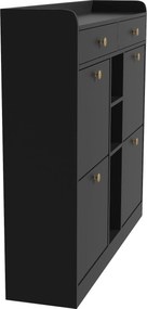 Dulap pentru pantofi cu 4 uși rabatabile, 2 sertare și 3 compartimente deschise, 110x26x100 cm, Negru