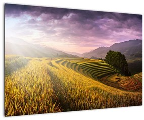 Tablou peisajului (90x60 cm)