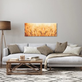 Tablou - câmp cu grâne (120x50 cm)