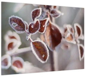 Tablou - Detaliu frunze (70x50 cm)