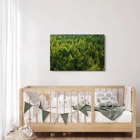 Tablou - Pădure deasă (90x60 cm)