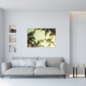 Tablou - Palmieri de cocos (90x60 cm)