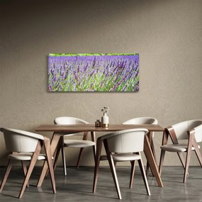 Tablou - Lavandă în câmp (120x50 cm)