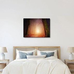 Tablou cu pădurea toamna în ceață (70x50 cm)