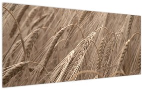 Tablou - Câmpul de aur (120x50 cm)