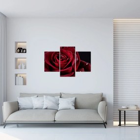 Tablou - Trandafir roșu (90x60 cm)