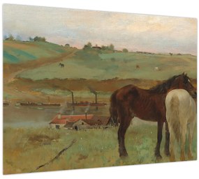 Tablou - Edgar Degas, Horses in a Meadow, reproducere (70x50 cm)