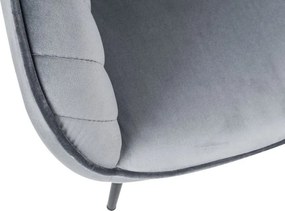 Set de 2 scaune elegante, cu brate si tapiterie din catifea, Turin gri argintiu A-38787 VC