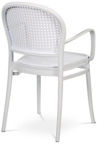 Set de scaune de sufragerie CT-746 WT, 4 buc