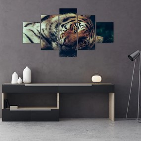 Tablou - Tigrul Siberian (125x70 cm), în 40 de alte dimensiuni noi