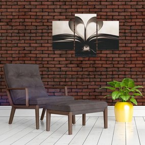 Tablou cu carte (90x60 cm)