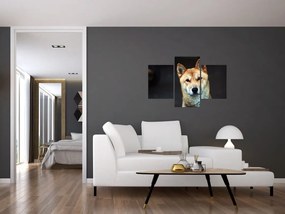 Tablou cu câine (90x60 cm)