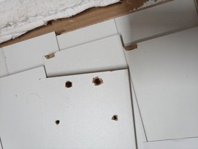 TARG Baza masa de dining alba cu blat in decor stejar sonoma MADO 120x80 II. calitate.