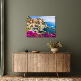 Tablou - Satul italian Manarola (70x50 cm)