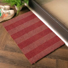 Covoraș de intrare din fibre de nucă de cocos 40x60 cm Pink Stripe – Artsy Doormats