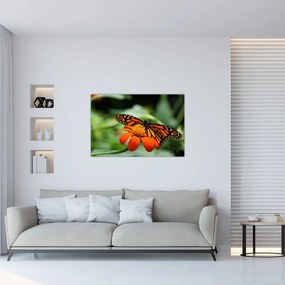 Tablou cu fluture pe floare (90x60 cm)