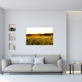 Tablou iarba cu rouă (90x60 cm)