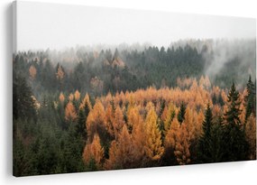 Tablou - Pădure toamna (90x60 cm)