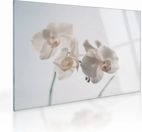 Tablou pe sticlă cu orhidee albă (70x50 cm)