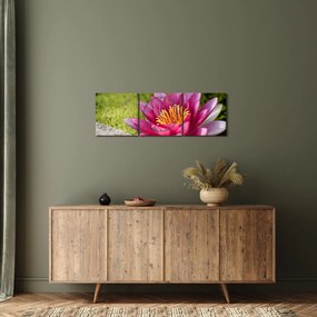 Tablou - Lotus (cu ceas) (90x30 cm)