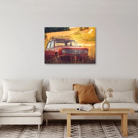 Tablou cu mașină în câmp (70x50 cm)