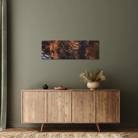 Tablou cu câini dormind (cu ceas) (90x30 cm)