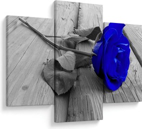 Tablou - Trandafir albastru (90x60 cm)