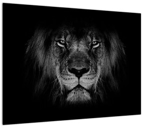 Tablou pe sticlă - Leu majestic (70x50 cm)