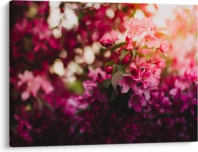 Tablou cu florile tufișului înflorit (70x50 cm)