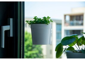 Ghivece 2 buc. din plastic suspendate și de perete ø 10 cm – Esschert Design