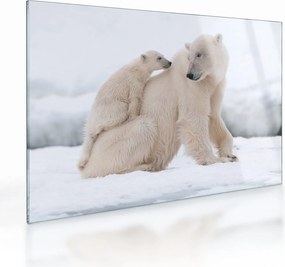 Tablou pe sticlă - Urs polar (70x50 cm)