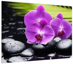 Tablou cu orhidee (70x50 cm), în 40 de alte dimensiuni noi